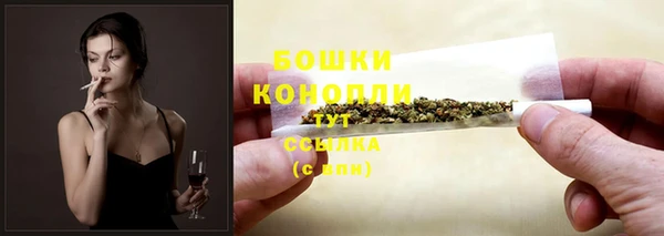 дживик Слюдянка