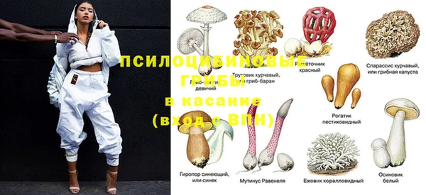 твердый Семилуки