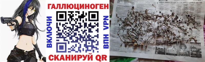 цены наркотик  Холм  Галлюциногенные грибы мицелий 